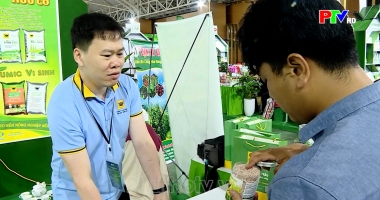 Phú Thọ ngày mới ngày 08-09-2026