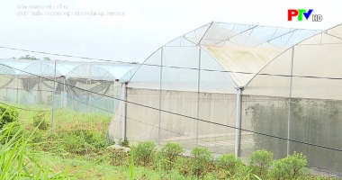 Phát triển thương hiệu sản phẩm địa phương