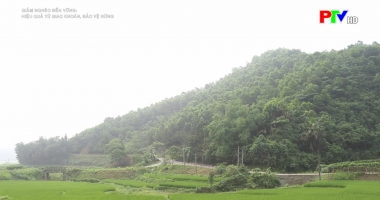 Hiệu quả từ giao khoán bảo vệ rừng