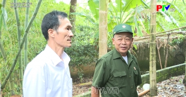 Nghĩa tình đồng đội