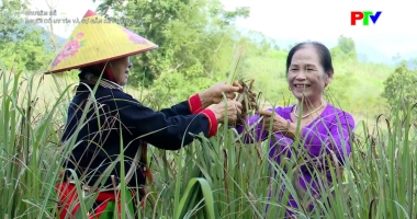 Người có uy tín và sự gắn kết bản làng