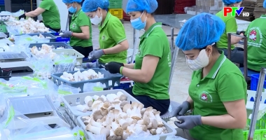 Người Việt Nam ưu tiên dùng hàng Việt Nam ngày 04-06-2026