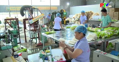 Người Việt Nam ưu tiên dùng hàng Việt Nam ngày 22-01-2026