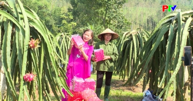 Người Việt Nam ưu tiên dùng hàng Việt Nam ngày 25-12-2025