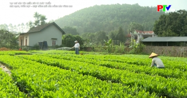 Nhà sạch, vườn đẹp - Nhịp sống mới của đồng bào vùng cao