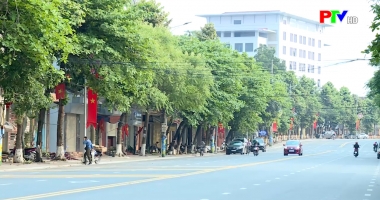 Nhịp sống thể thao ngày 12-4-2020