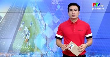 Nhịp sống thể thao ngày 14-6-2020