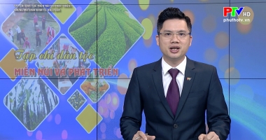 Những mô hình kinh tế hiệu quả