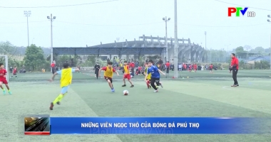 Những viên ngọc thô của bóng đá Phú Thọ