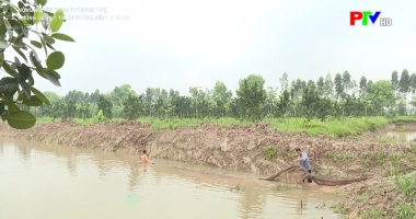 Hướng dẫn kỹ thuật phòng bệnh cho cá