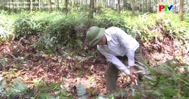 Tăng cường công tác phòng chống cháy rừng