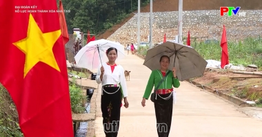 Nỗ lực hoàn thành xóa nhà tạm