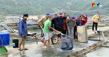 Nông dân và bước chuyển mới