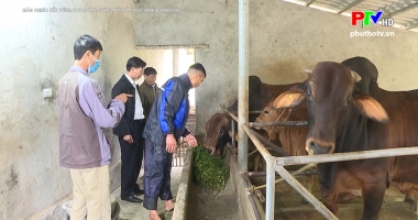 Nông dân và phong trào sản xuất kinh doanh giỏi