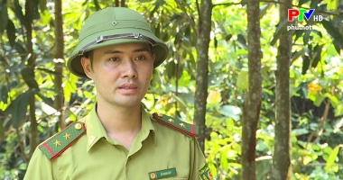 Nông nghiệp nông thôn Phú Thọ ngày 28-9-2019