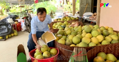 Nông nghiệp, nông thôn - Khi nông sản có danh tính số