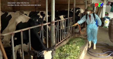 Nông nghiệp nông thôn Phú Thọ ngày 16-10-2026