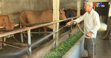 Nông nghiệp nông thôn Phú Thọ ngày 2-6-2023