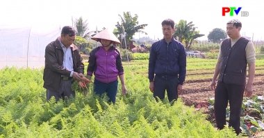 Sản xuất phân hữu cơ từ phương pháp lên men hiếu khí trong sản xuất rau an toàn