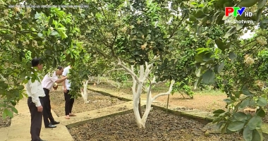 Nông thôn mới Phú Thọ: Xây dựng khu dân cư nông thôn mới kiểu mẫu