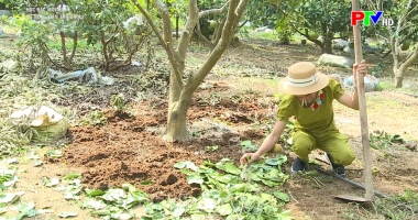 Nữ nông dân triệu phú