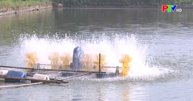 Nuôi trồng thủy sản đặc sản