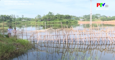 Nuôi trồng thủy sản trong mùa mưa lũ