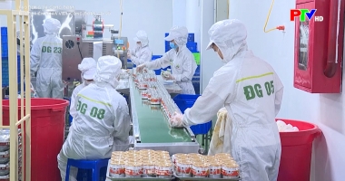 Phát triển đoàn viên công đoàn cơ sở