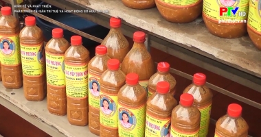 Phát triển tài sản trí tuệ và hoạt động sở hữu trí tuệ