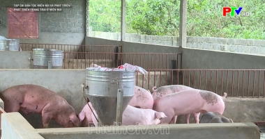 Phát triển trang trại ở miền núi