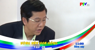 Giới thiệu phim ngày 29-10-2019