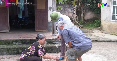 Phòng bệnh dại cho đàn vật nuôi