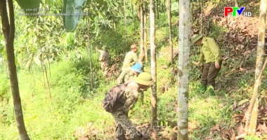 Phòng chống cháy rừng mùa hanh khô