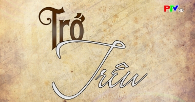 Phóng sự - Trớ trêu