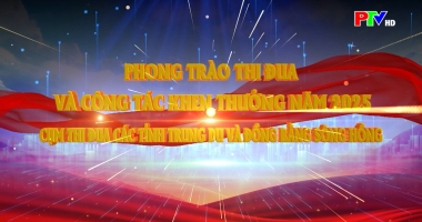 Phong trào thi đua và công tác khen thưởng năm 2025 - Cụm thi đua các tỉnh Trung du và Đồng bằng sông Hồng