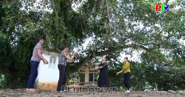 Phong trào văn hóa văn nghệ trong đời sống cộng đồng