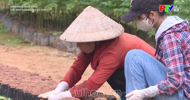 Phù Ninh giảm nghèo đa chiều