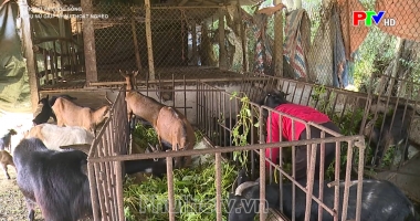 Phụ nữ giúp nhau giảm nghèo