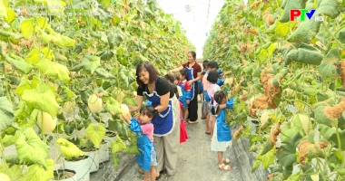 Phụ nữ khởi nghiệp từ công nghiệp sạch