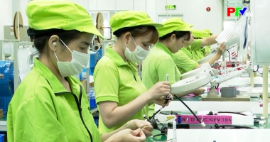 Phú Thọ chủ động thực thi EVFTA cơ hội mới cho phát triển bền vững