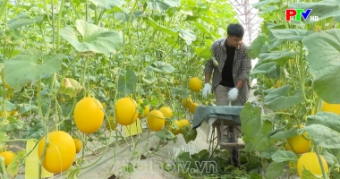 Phú Thọ chuẩn hóa chất lượng, minh bạch nguồn gốc nâng tầm giá trị hàng hóa