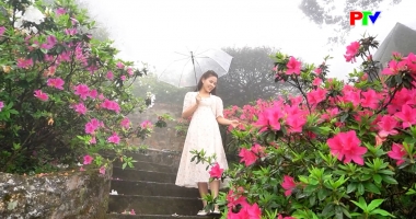 Phu Tho Culture Express - A garden above the clouds