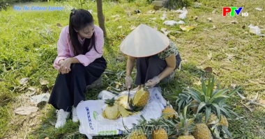 Phu Tho Culture Express - Honeyed flavor of the mid-uplands