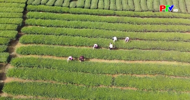 Phu Tho Culture Express - Lingering echoes of Muong fork singings