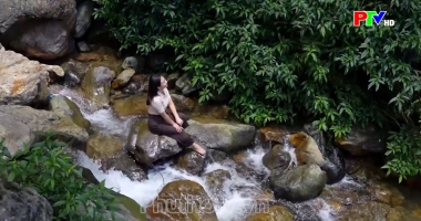 Phu Tho Culture Express - Listening to the heartbeat of the great forest