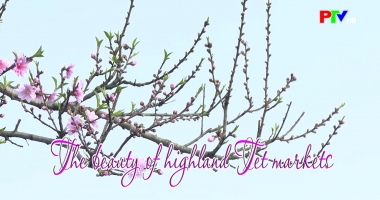 Phu Tho Culture Express - The beauty of highland Tet markets