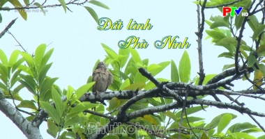 Phú Thọ đất và người – Đất lành Phù Ninh