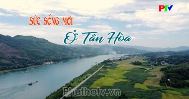 Phú Thọ Đất và Người - Sức sống mới ở Tân Hòa