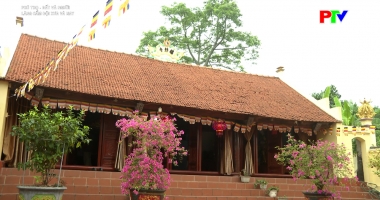Phú Thọ Đất và Người: Làng Cẩm Đội xưa và nay (Tập 2)