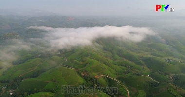 Phú Thọ ngày mới ngày 15-11-2021